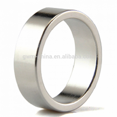 Sinetered NdFeB Magnet Multipole Rings for Motor